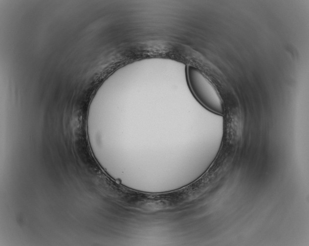 X0000113350608200910061020