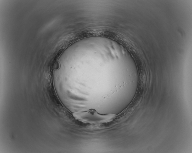 X0000113350609200910061020