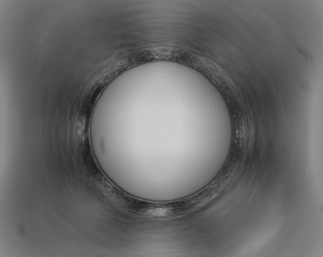 X0000113350610200910061020