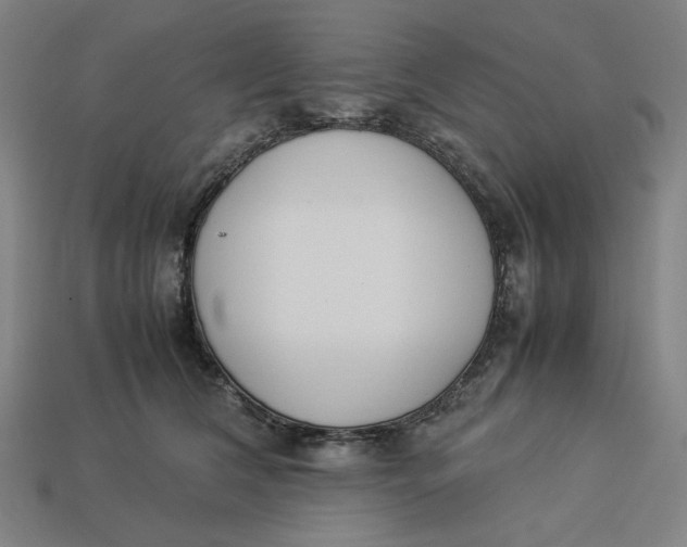 X0000113350612200910061020