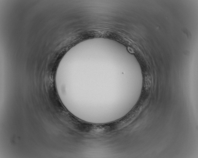 X0000113350613200910061020