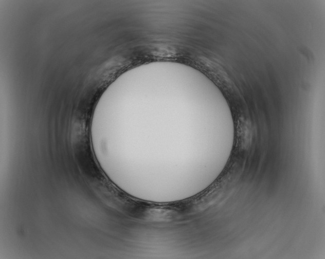 X0000113350614200910061020