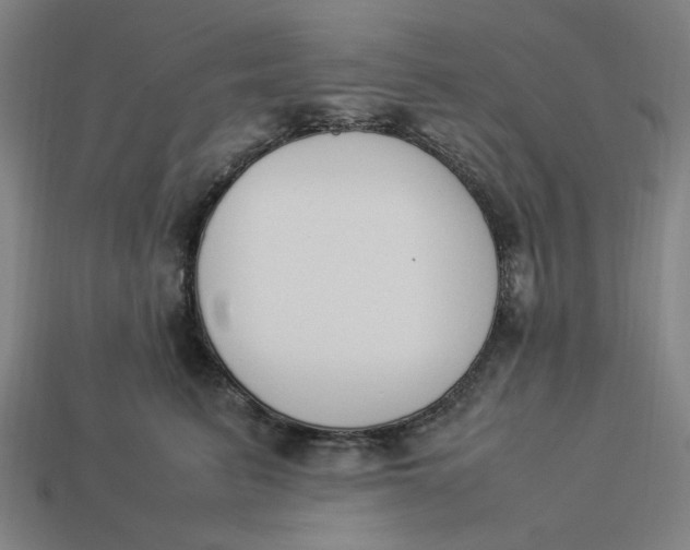 X0000113350615200910061020