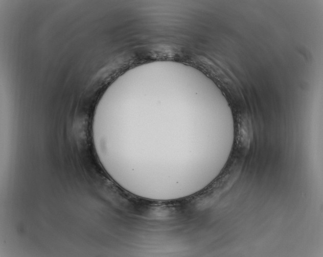 X0000113350616200910061020