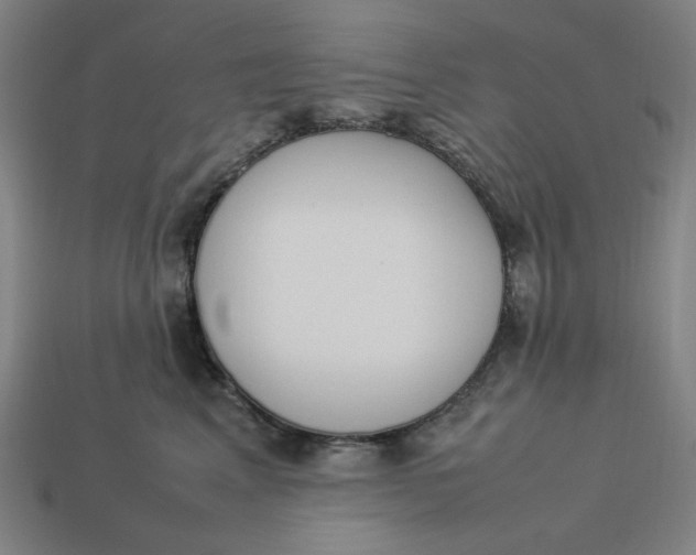 X0000113350617200910061020