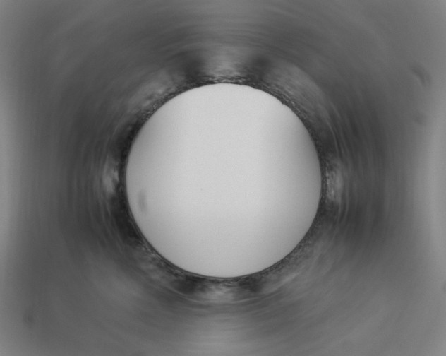 X0000113350618200910061020