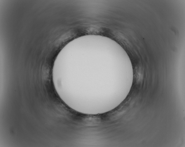 X0000113350619200910061020