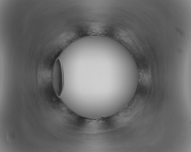 X0000113350621200910061020