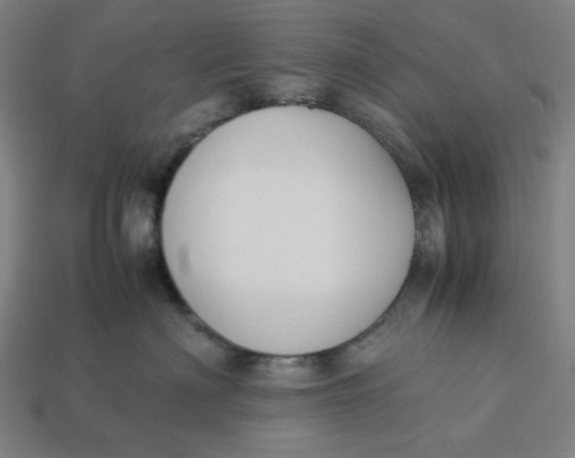 X0000113350622200910061020