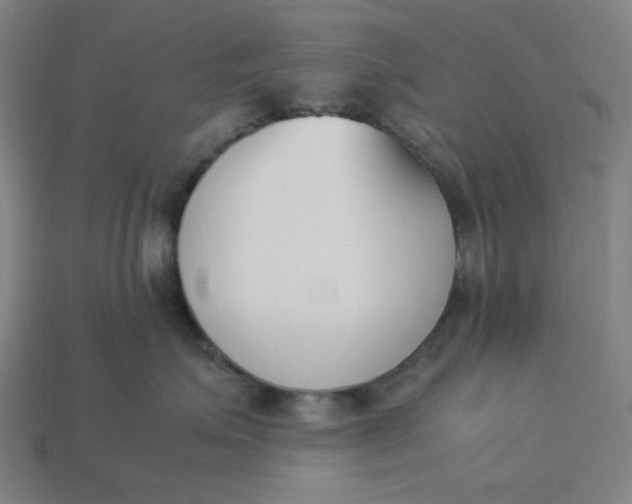 X0000113350623200910061020