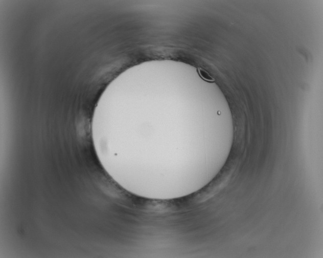 X0000113350624200910061020