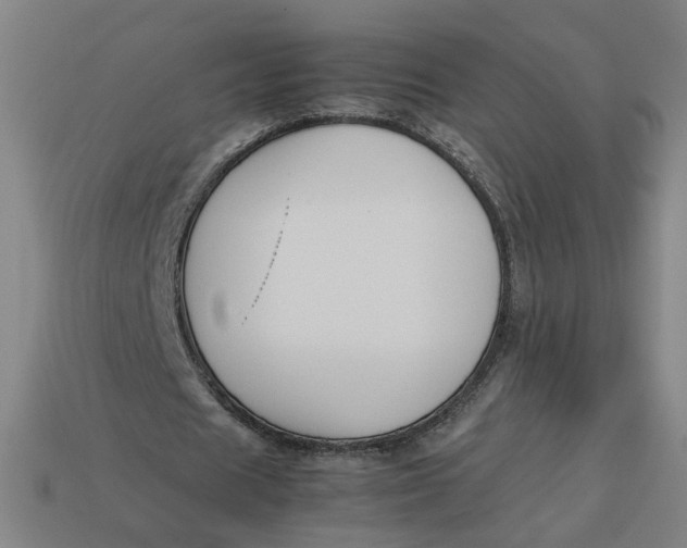 X0000113350625200910061019