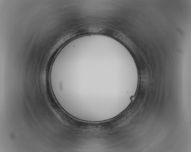 X0000113350626200910061019