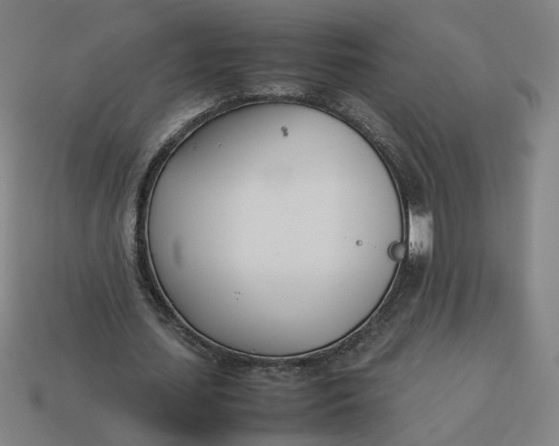 X0000113350627200910061019