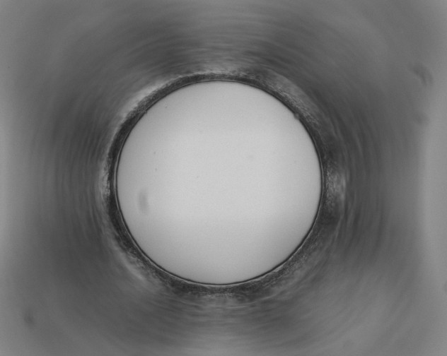 X0000113350628200910061019