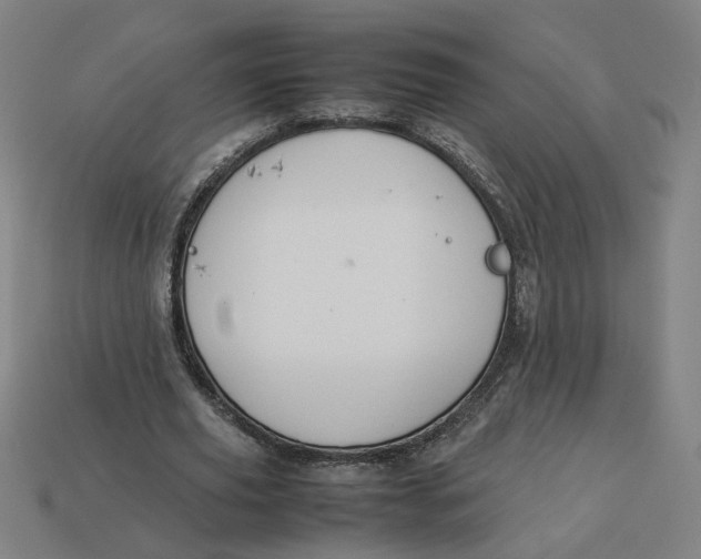 X0000113350629200910061019