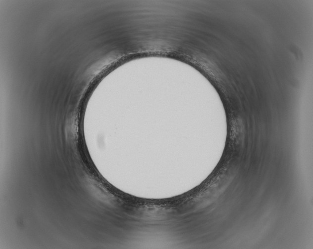 X0000113350632200910061019