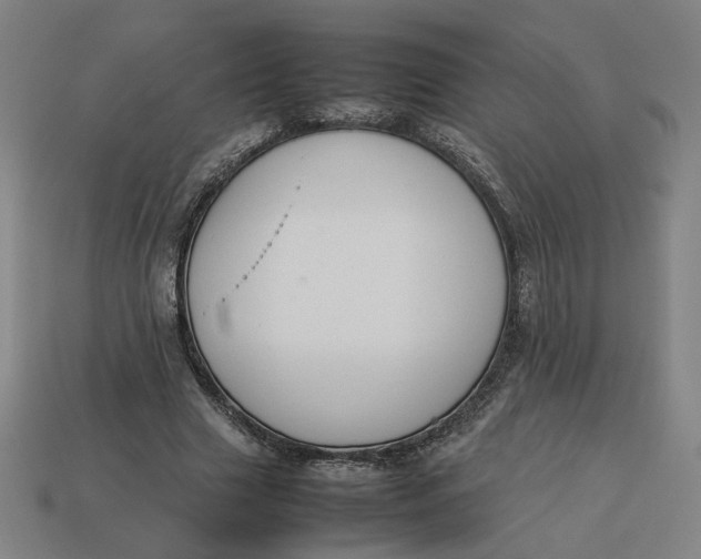 X0000113350633200910061019