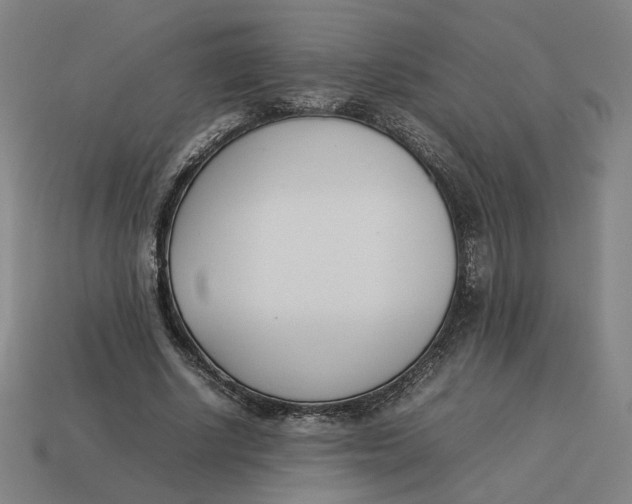 X0000113350634200910061019