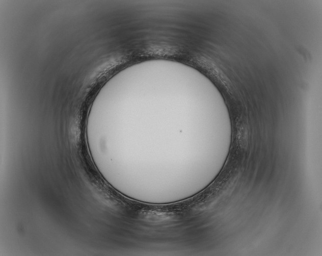 X0000113350635200910061019