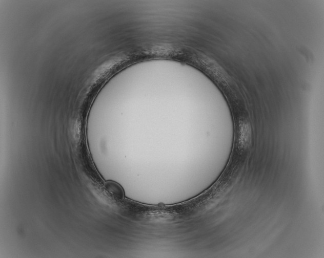 X0000113350636200910061019