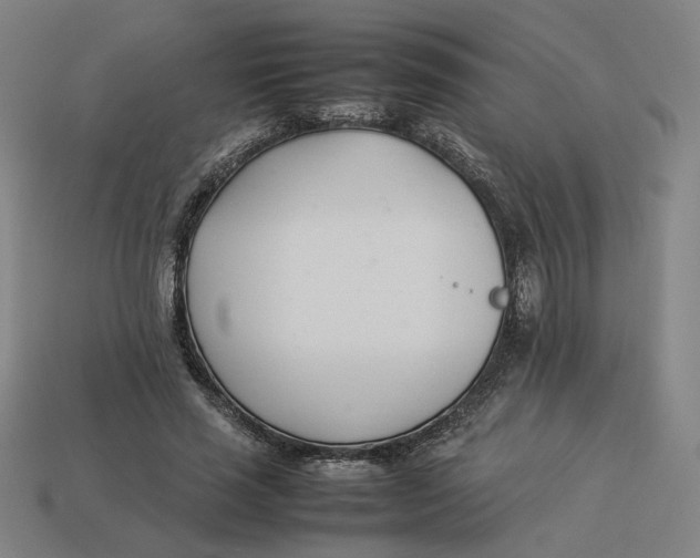 X0000113350637200910061019