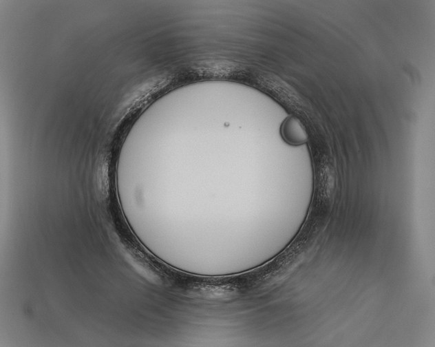 X0000113350638200910061019