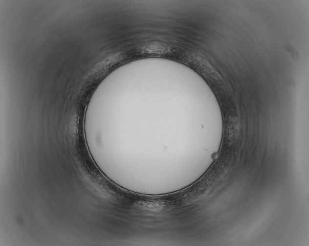 X0000113350639200910061019