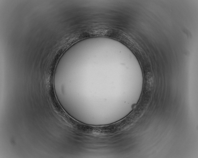 X0000113350641200910061019