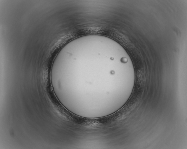 X0000113350642200910061019