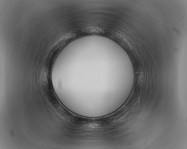 X0000113350643200910061019