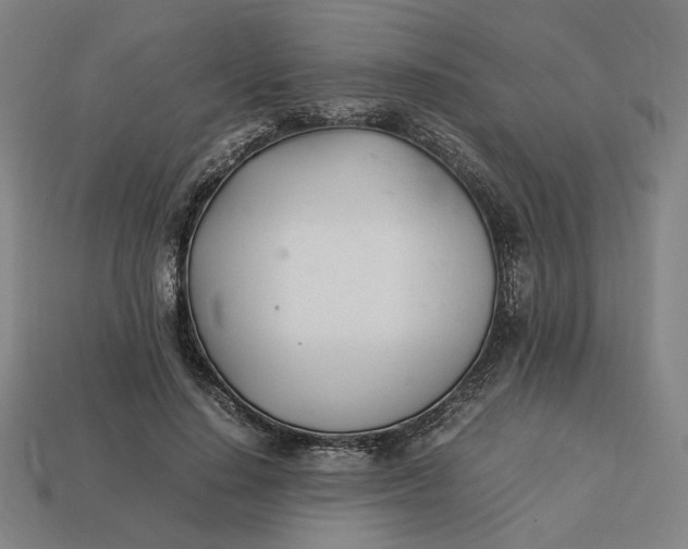 X0000113350644200910061019