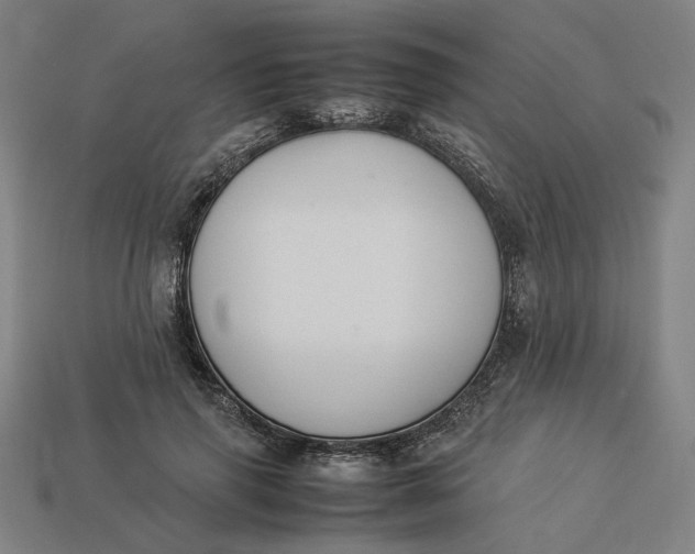 X0000113350645200910061019