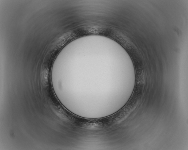 X0000113350646200910061019