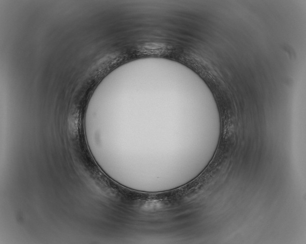 X0000113350647200910061019