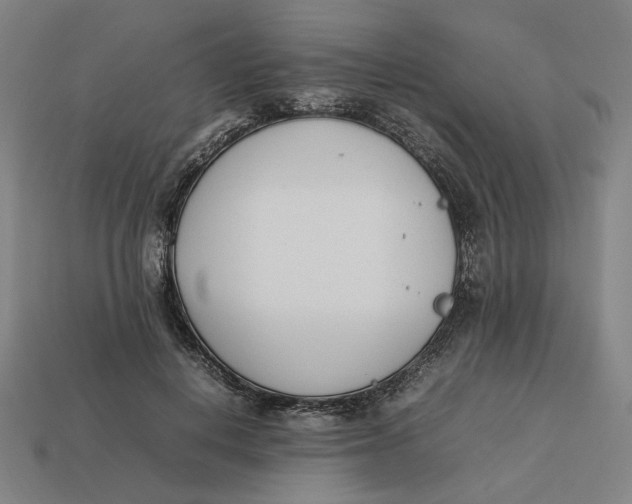 X0000113350648200910061019