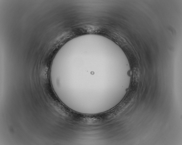 X0000113350650200910061020