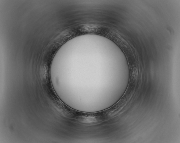 X0000113350651200910061020