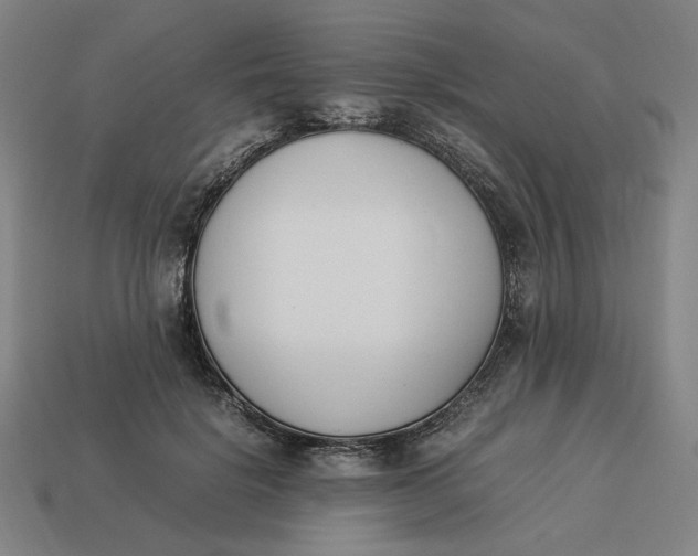 X0000113350652200910061020