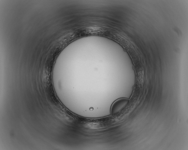 X0000113350653200910061020