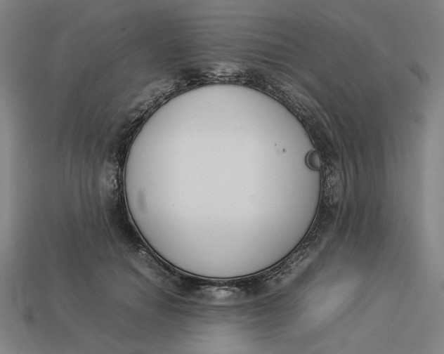 X0000113350654200910061020