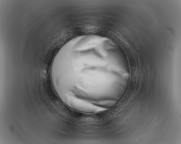 X0000113350655200910061020