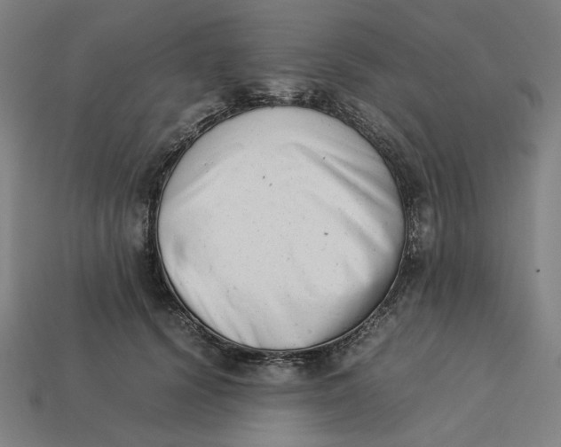 X0000113350656200910061020