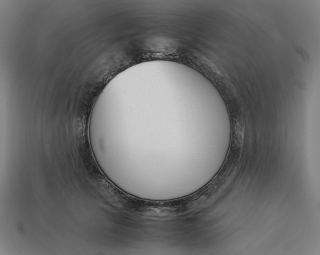 X0000113350657200910061020