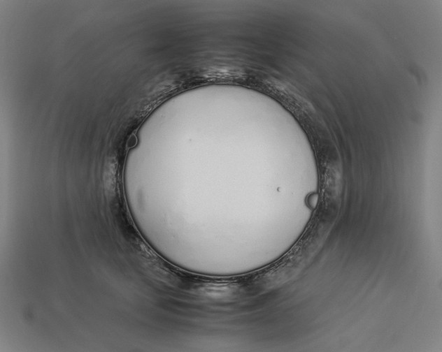 X0000113350659200910061020