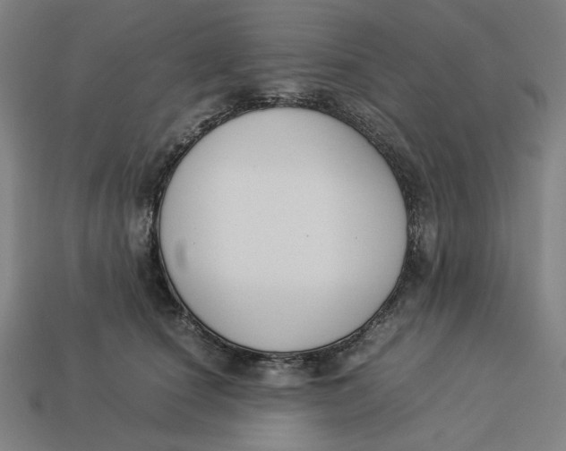 X0000113350660200910061020