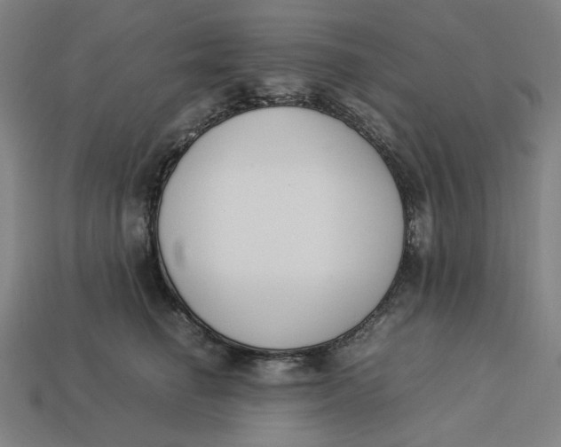 X0000113350662200910061020