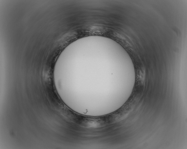 X0000113350663200910061020