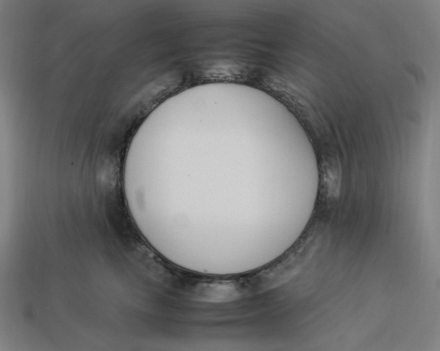 X0000113350665200910061020