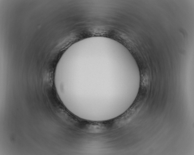 X0000113350666200910061020